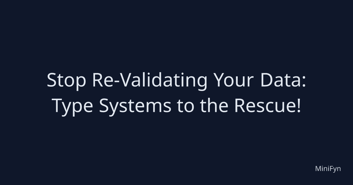 Stop Re-Validating Your Data: Type Systems to the Rescue!